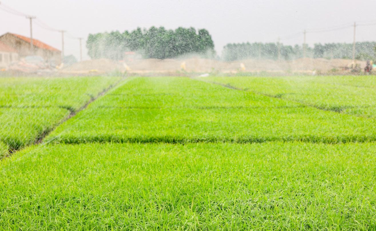 811a5a9a-7978-4aa5-8782-61816b917c70