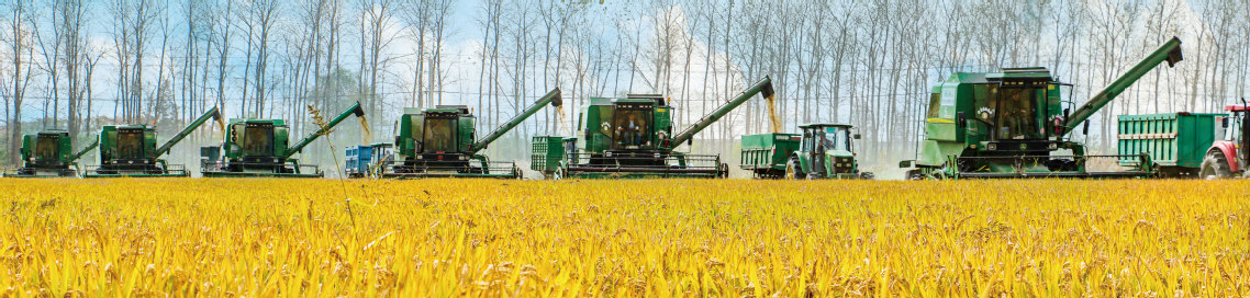 864e0d8c-7462-48c6-a09b-8226711c1e60